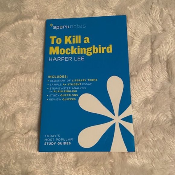 To Kill a Mockingbird, Huckleberry Finn - Picture 7 of 11